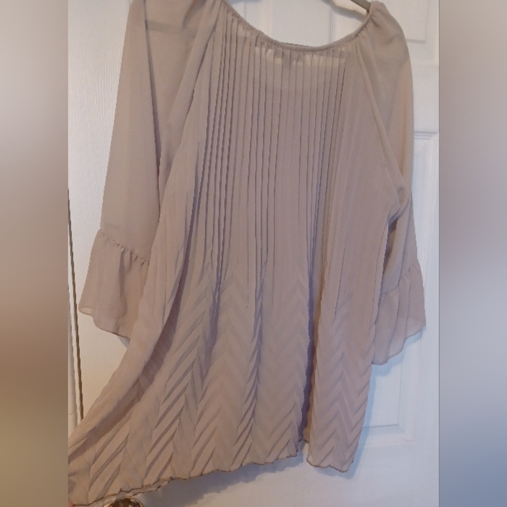 💰Cal Style Sheer Pleated Blouse